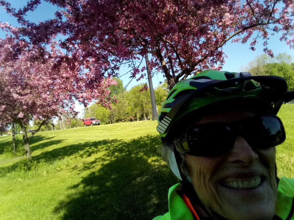 Late blooming crab apple trees dressup any ride