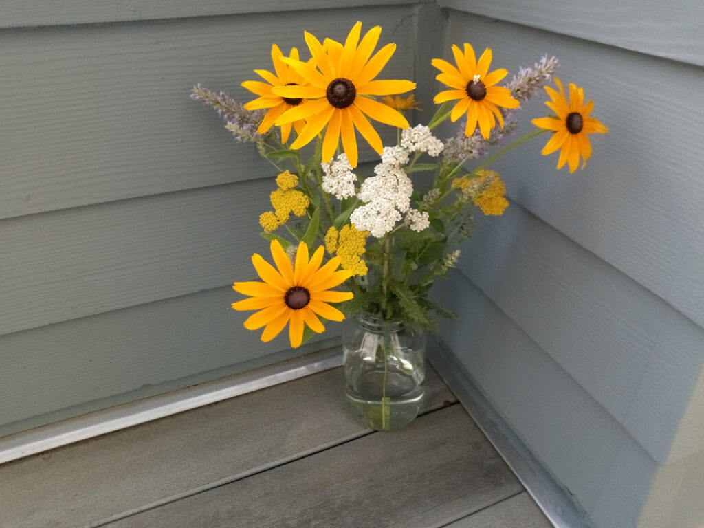 Gift bouquet of native Black eye Susan