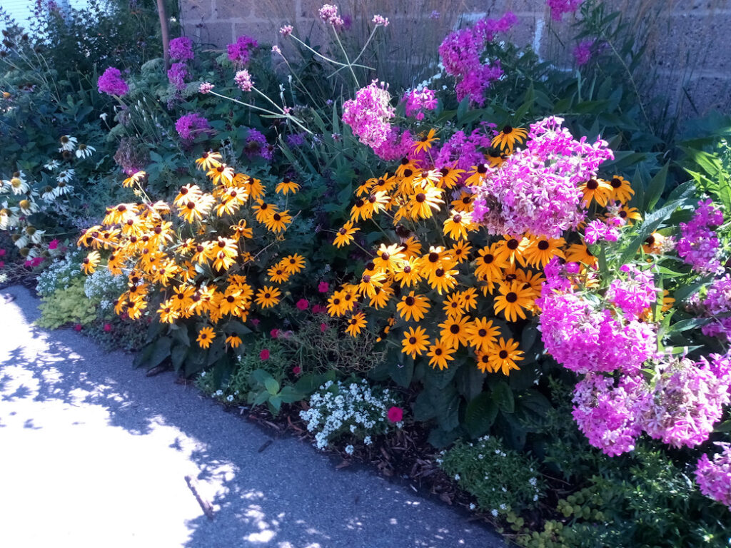 Flowers by Heath Creek Bike Shop