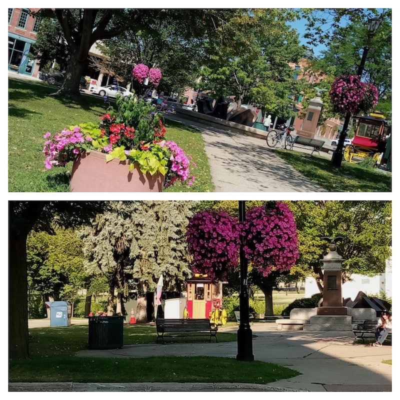 Bridge Square Flowers collage