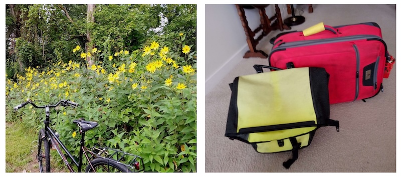 prep for trip collage