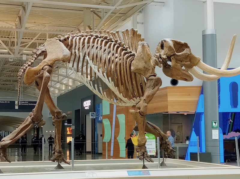 In middle of Cincinnati airport terminal