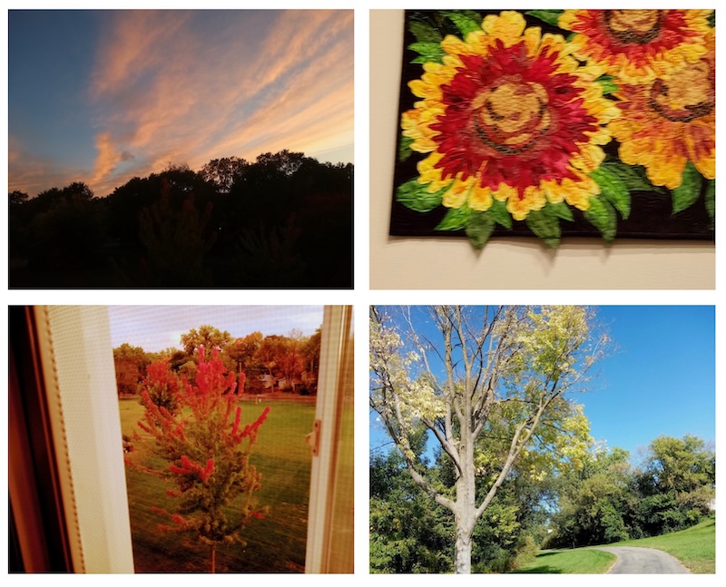 Autumn Views collage